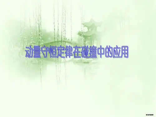 动量守恒定律在碰撞中的应用