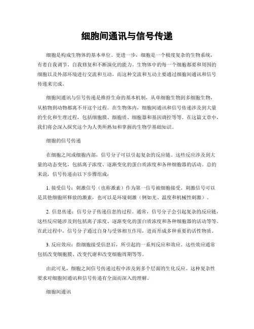 细胞间通讯与信号传递