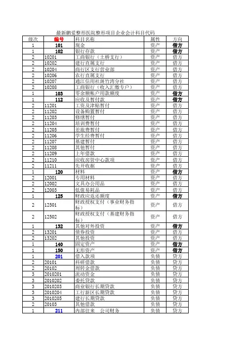 最新鹏爱整形医院整形项目企业会计科目代码