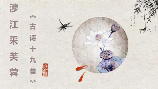 《涉江采芙蓉》ppt课件