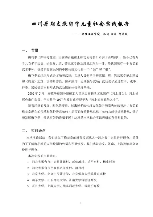 暑期实践 国家非物质文化遗产-梅花拳