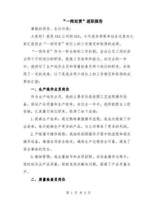 “一岗双责”述职报告