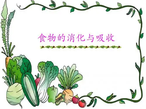 公开课食物的消化与吸收