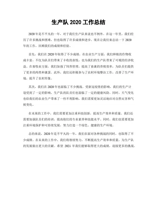 生产队2020工作总结