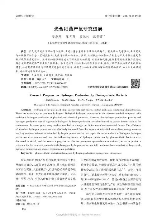 光合细菌产氢研究进展