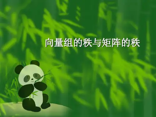 3.3向量组的秩与矩阵的秩