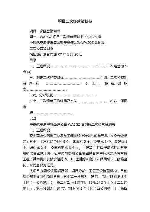项目二次经营策划书