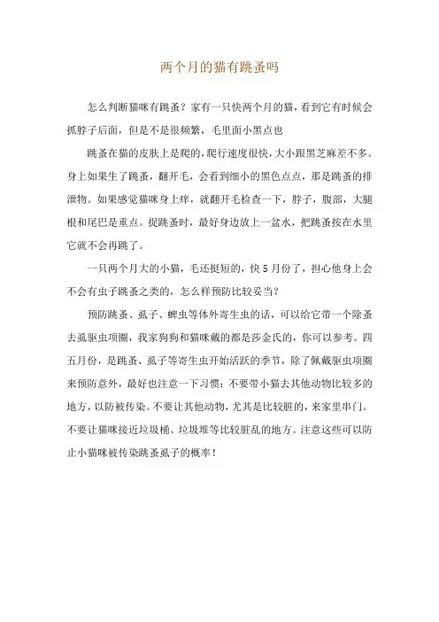 两个月的猫有跳蚤吗