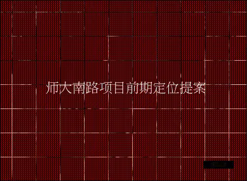 2019南昌师大南路项目前期定位提案104P