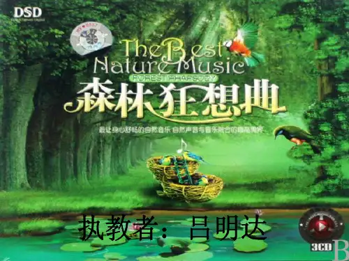《森林狂想曲》课件