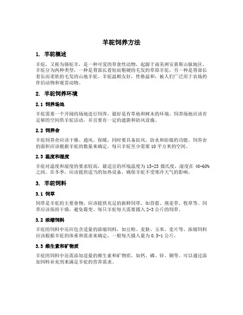 羊驼饲养方法