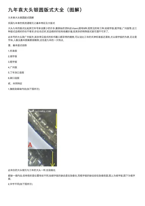 九年袁大头银圆版式大全（图解）