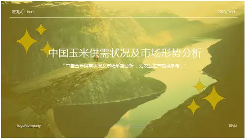 2023年中国玉米供需状况及市场形势分析报告