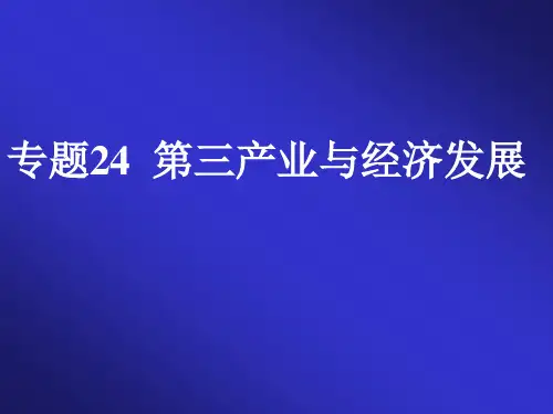 高中地理专题24第三产业与经济发展
