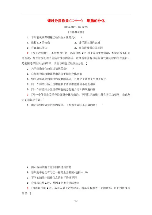 高中生物 课时分层作业21 细胞的分化(含解析)新人教版必修1