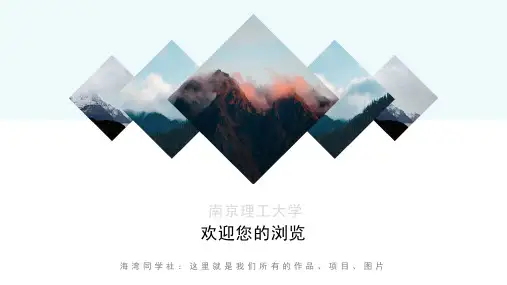 南京理工大学专用-艺术风格-PPT模板