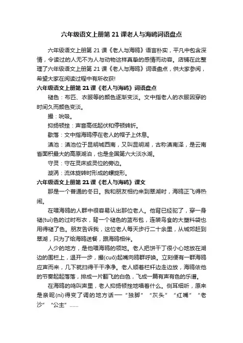 六年级语文上册第21课老人与海鸥词语盘点