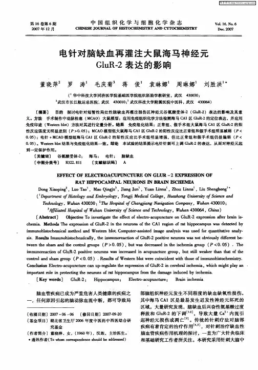 电针对脑缺血再灌注大鼠海马神经元GluR-2表达的影响