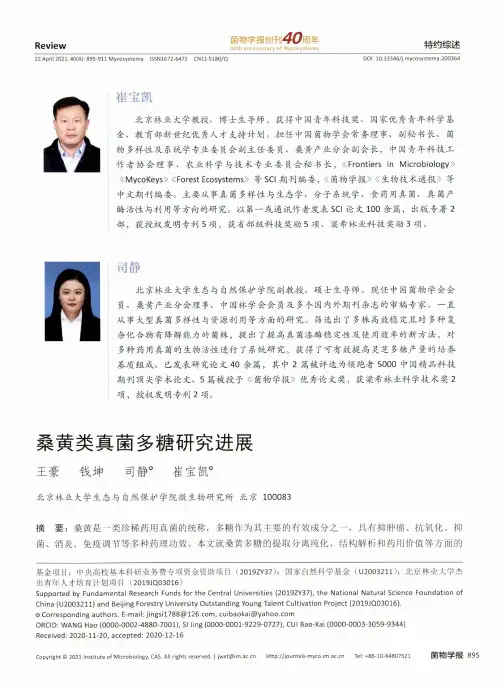 桑黄类真菌多糖研究进展