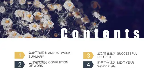 唯美工作总结工作汇报PPT模板