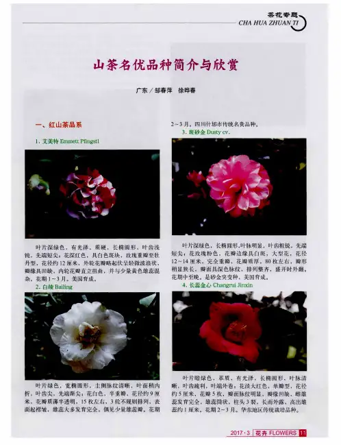 山茶名优品种简介与欣赏