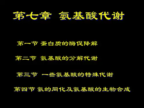 基础生化-氨基酸代谢精品PPT课件