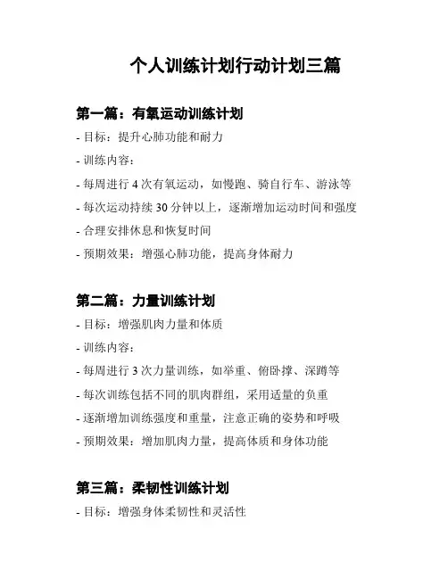 个人训练计划行动计划三篇
