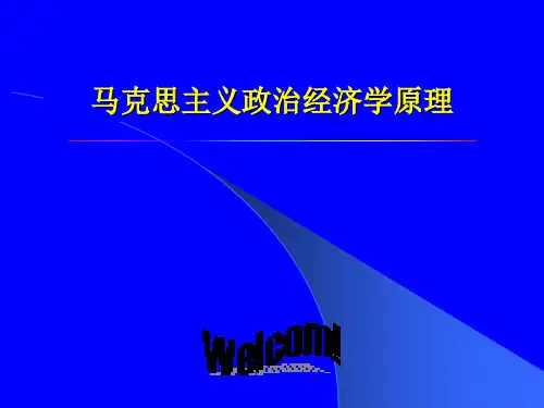 马克思主义政治经济学原理