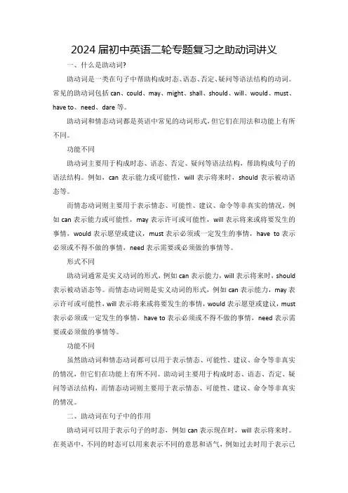 2024年中考英语二轮专题复习之助动词讲义