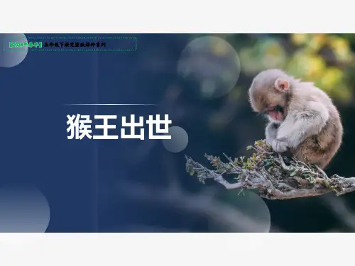 猴王出世课件(共24张PPT)