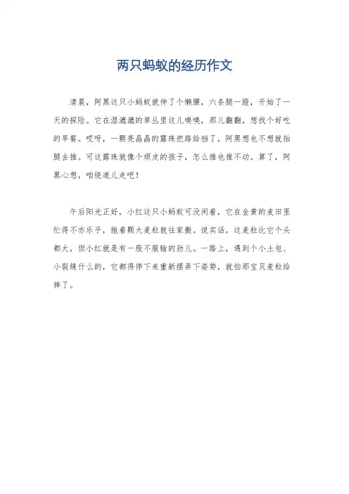 两只蚂蚁的经历作文