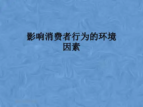 影响消费者行为的环境因素