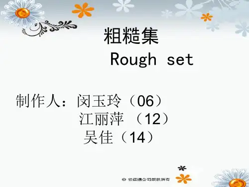 粗糙集