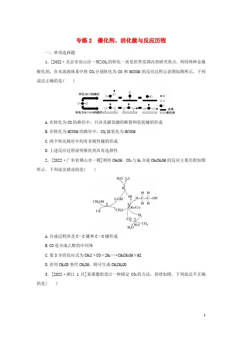 2023新教材高考化学二轮专题复习 专练2 催化剂、活化能与反应历程