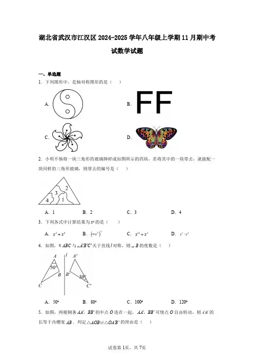 湖北省武汉市江汉区2024-2025学年八年级上学期11月期中考试数学试题