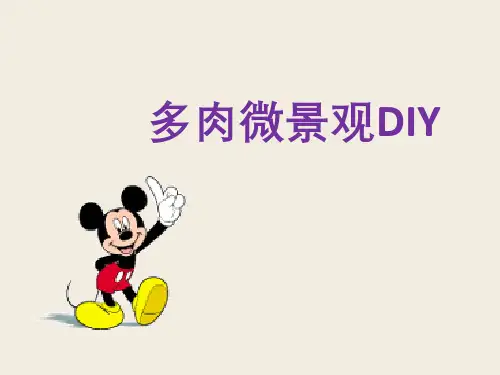 综合实践活动优质课《多肉微景观DIY》PPT