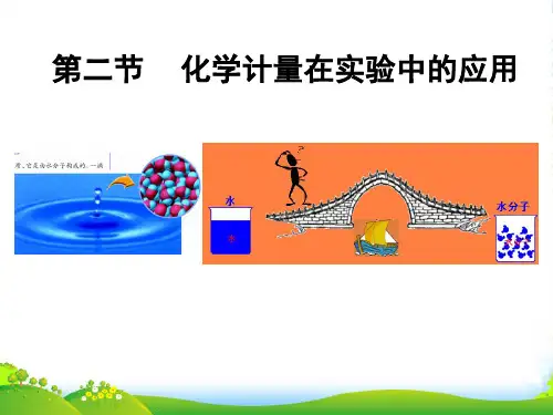 人教课标版高中化学 必修1第一章第二节(共22张PPT)