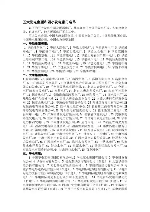 五大电力集团和四小发电集体