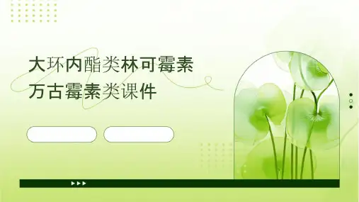 大环内酯类林可霉素万古霉素类课件