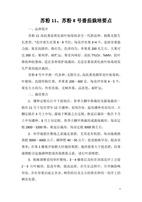 苏粉11、苏粉8号番茄栽培要点