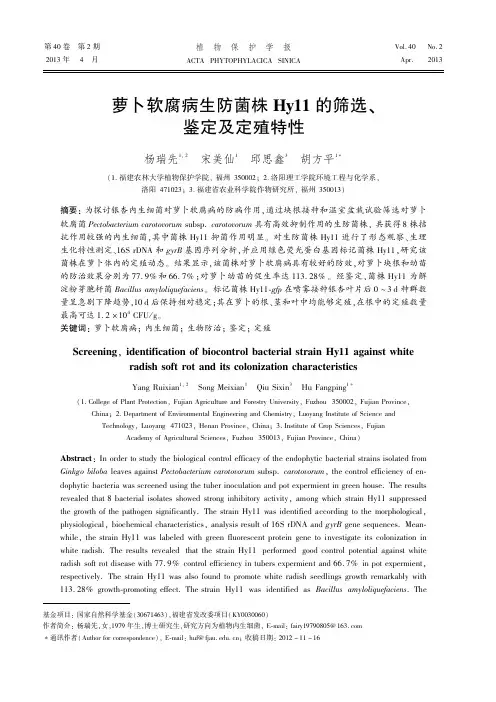 萝卜软腐病生防菌株Hy11的筛选、鉴定及定殖特性