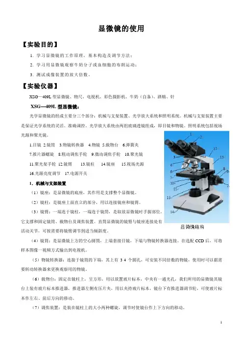 显微镜的使用