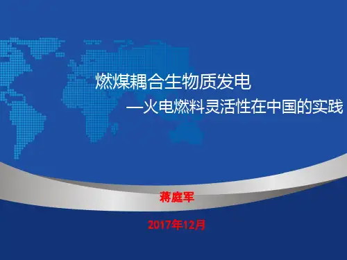 燃煤耦合生物质发电