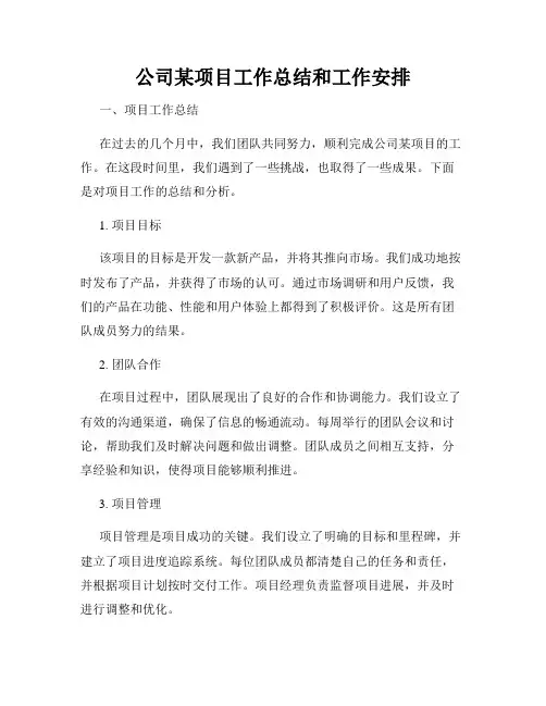公司某项目工作总结和工作安排