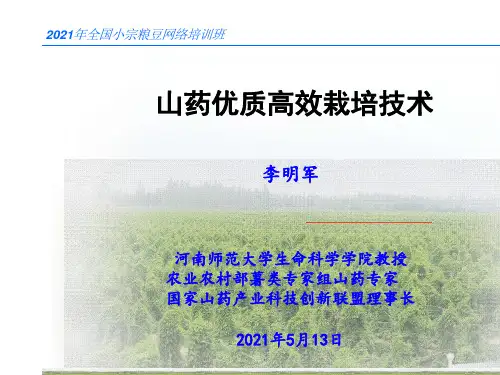 山药优质高效栽培技术-李明军.pptx