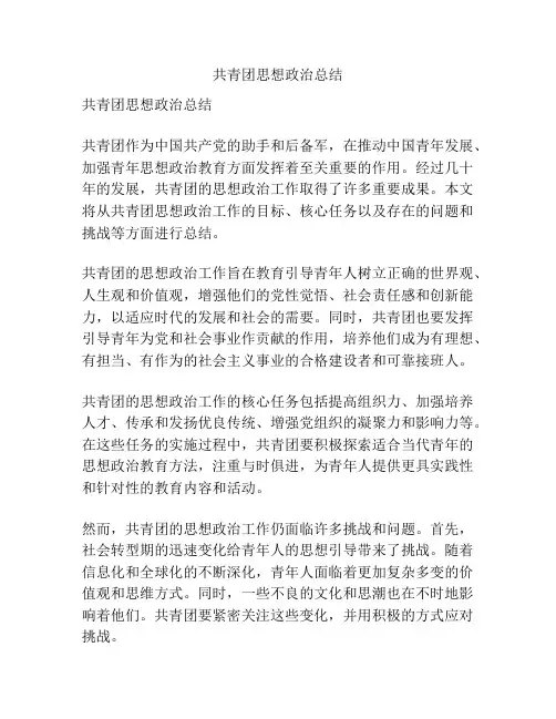 共青团思想政治总结