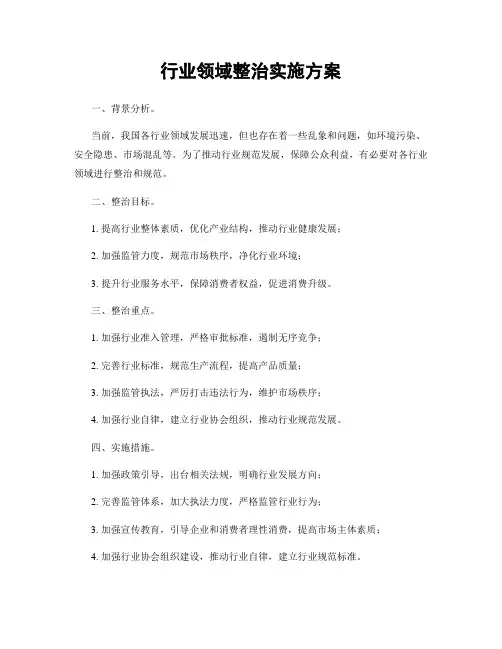 行业领域整治实施方案