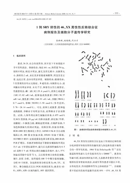 1例SRY阴性的46,XX男性性反转综合征病例报告及细胞分子遗传学研究