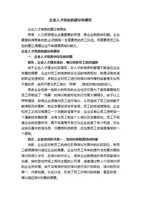 企业人才培养的建议有哪些
