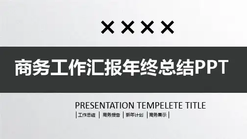 商务工作汇报ppt
